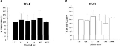 Vitamin D Reduces Thyroid Cancer Cells Migration Independently From the Modulation of CCL2 and CXCL8 Chemokines Secretion